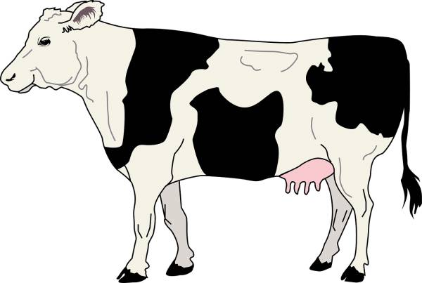 cow livestock cattle farm animal  svg vector cut file