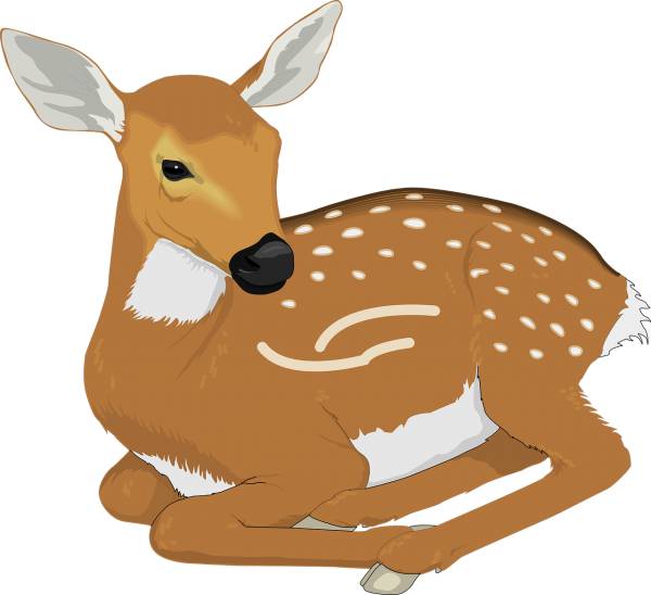 deer animal mammal spots resting  svg vector cut file