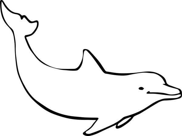 dolphin ocean mammal nature marine  svg vector cut file