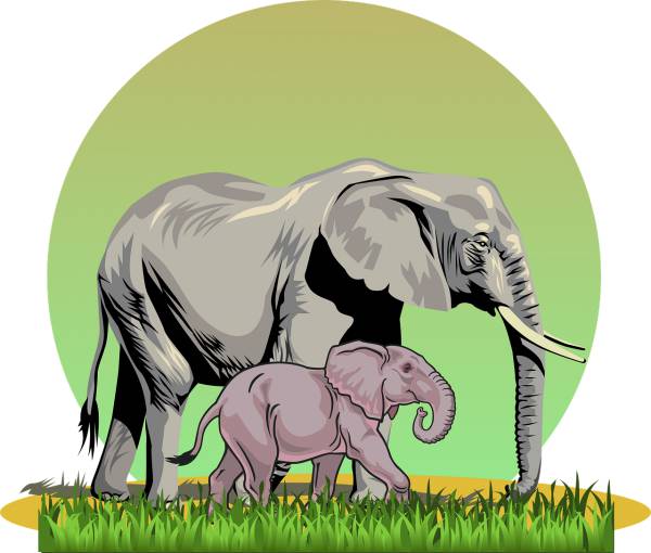elephant elephant with cub safari  svg vector cut file