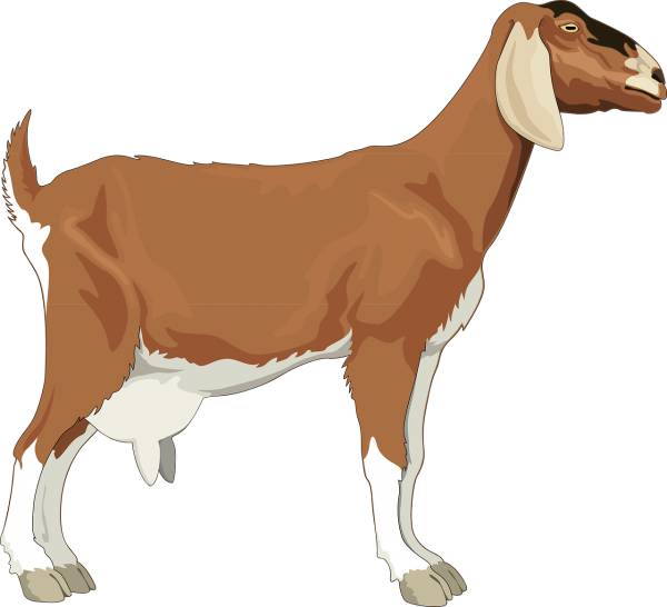 female goat brown barn farm  svg vector cut file