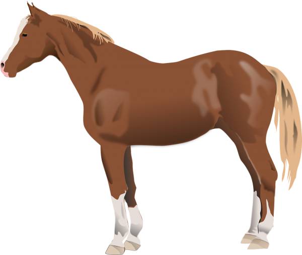 horse animal farm horse horse  svg vector cut file