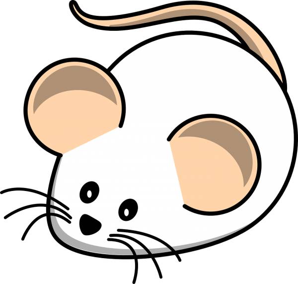 mouse white mouse field animal rat  svg vector cut file