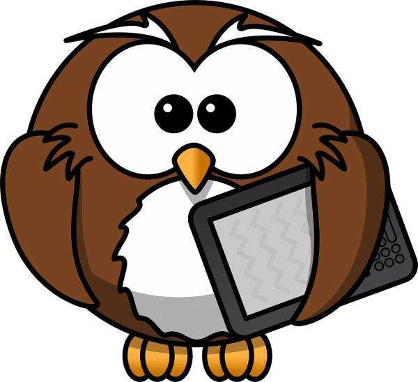 owl animal bird book e book funny  svg vector cut file