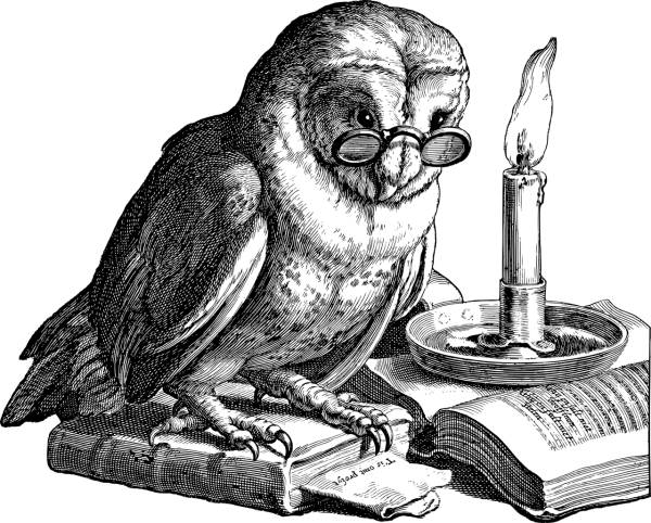 owl bird reading book study  svg vector cut file