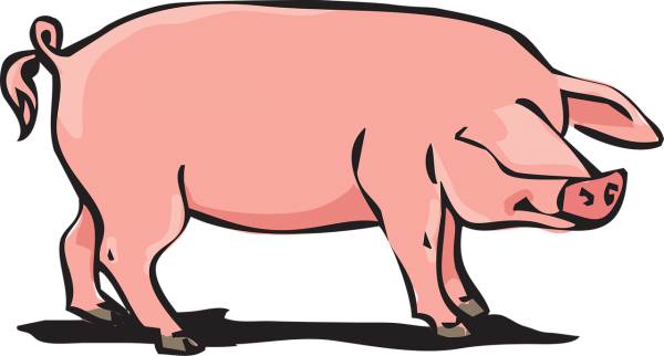 pork farm animal pig pig pig pig  svg vector cut file