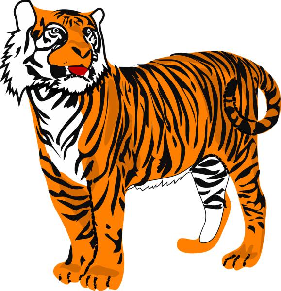 tiger cat animal danger wildlife  svg vector cut file